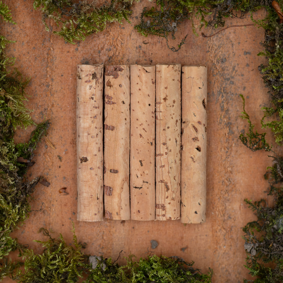 Corksticks Refill 65mm (5pcs)